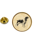 AX 1664 epagneul breton