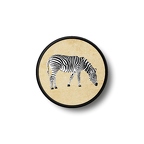 PR 1496 zebre
