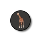 PR 1504 girafefondnoir