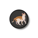 PR 1518 chat roux