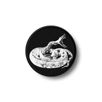 PR 1578 snake