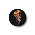 PR 1580 meduse