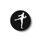 PR 1608 kickboxing