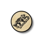 PR 1651 koala