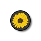 PR 1680 tournesol