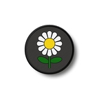 PR 1726 marguerite