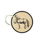 PC PR 1437 chevalVTG