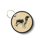 PC PR 1664 epagneul breton