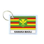 KR FLEX 263 kanakamoli