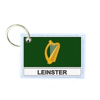 KR FLEX 433 leinster