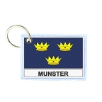 KR FLEX 434 munster