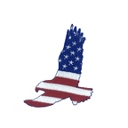 Z99 aigle usa