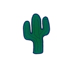 Z11 cactus