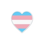 EC 9003 cur transgender 