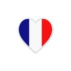 ec 8676 cur france