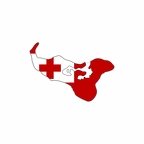 r9906 sticker carte tonga