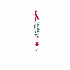 r9874 sticker carte maldives