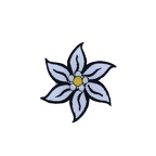 Z123 edelweiss