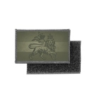 HL3 CAMO 093 Ethiopie lion 