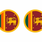 r9996 Srilanka flag rond