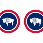 r10109 Wyoming flag rond