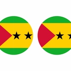 r9988 Saotome flag rond