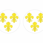 r10208 fleurdelysblanc flag rond