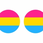 r10170 pansexual flag rond