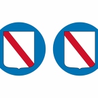 r10164 campania flag rond