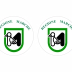 r10161 marche flag rond