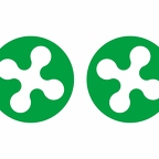 r10157 lombardoa flag rond