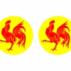 r10139 Wallonie flag rond