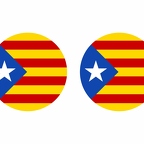 r10131 Catalanindependant flag rond