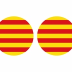 r10127 Catalogne flag rond