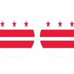 r10110 Washingtondc flag rond
