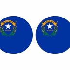 r10099 Nevada flag rond