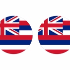 r10072 Hawaii flag rond