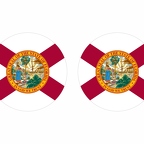 r10071 Floride flag rond