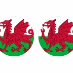 r10041 Paysdegalles flag rond