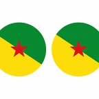 r10026 Guyane flag rond