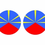 r10025 Reunion flag rond