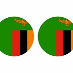 r10021 Zambie flag rond