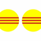 r10019 Vietnamdusud flag rond