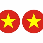 r10018 Vietnam flag rond