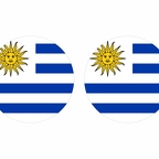 r10015 Uruguay flag rond