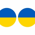 r10014 Uaine flag rond