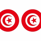 r10010 Tunisie flag rond