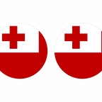 r10008 Tonga flag rond