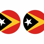 r10006 Timororitneal flag rond