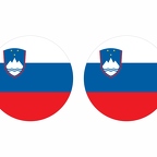 r9994 Slovenie flag rond